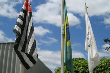 Pauta da 07ª Sessão Ordinária de 2015.
